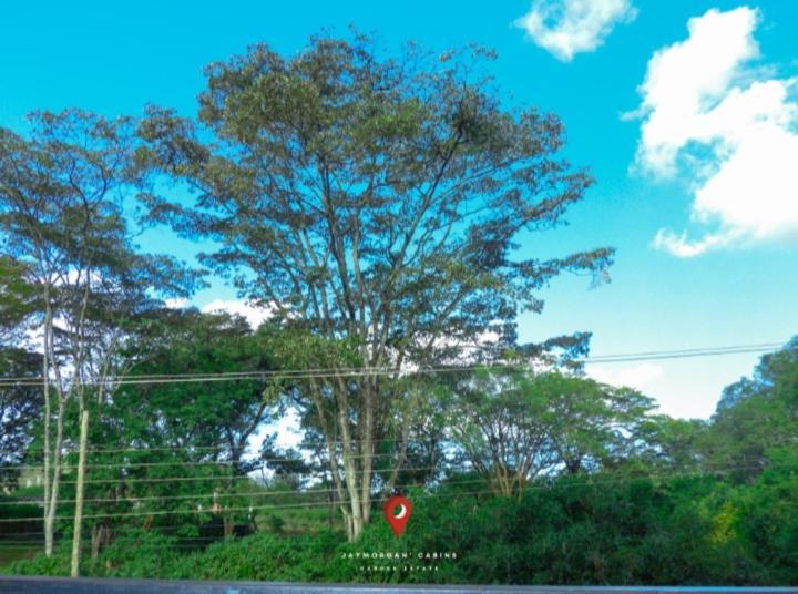 Jaymorgan' Cabins. Apartment Nyeri Exterior photo